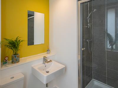 Picture 8